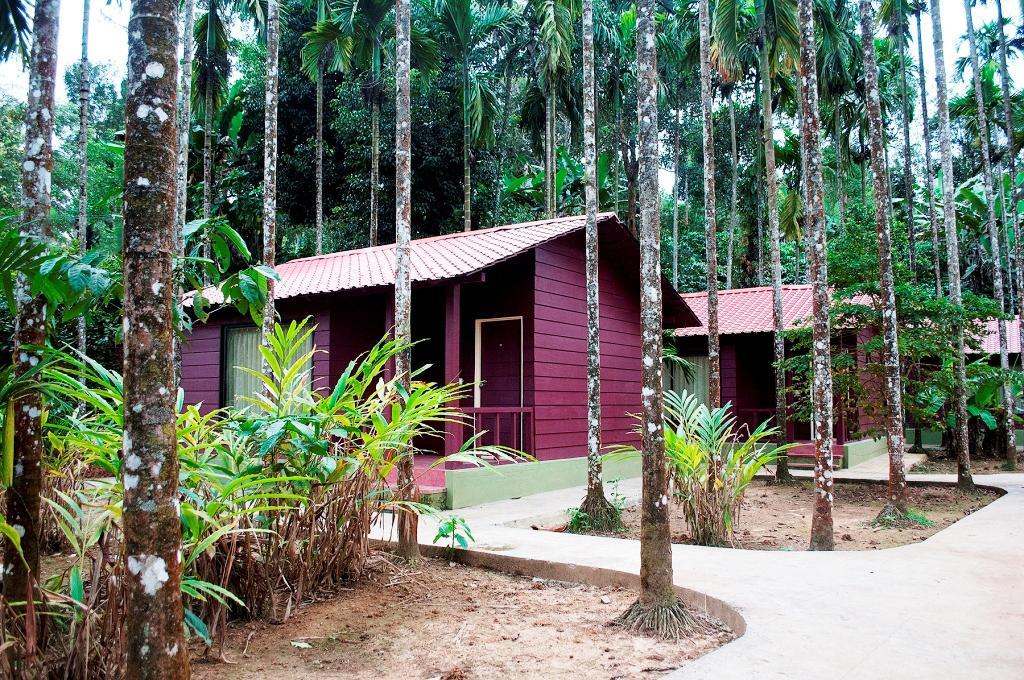 La Flora Prakruth Resort Coorg Madikeri Exterior foto